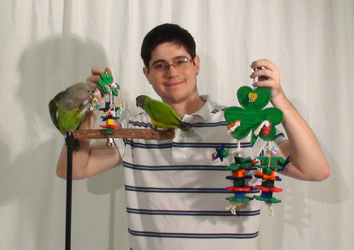 best toys for conures