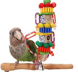 ABC Mash Toy with Cape Parrot