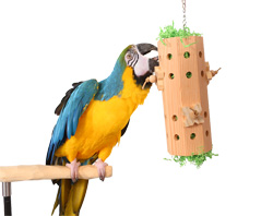 Parrot Wizard Activity Forager Large Hanging Parrot Foraging Toy