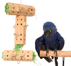 Hyacinth Macaw with Activity Logs Large Parrot Toy