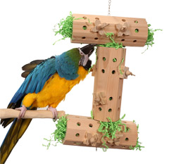 Blue and Gold Macaw playing with Activity Logs XL Foraging Toy