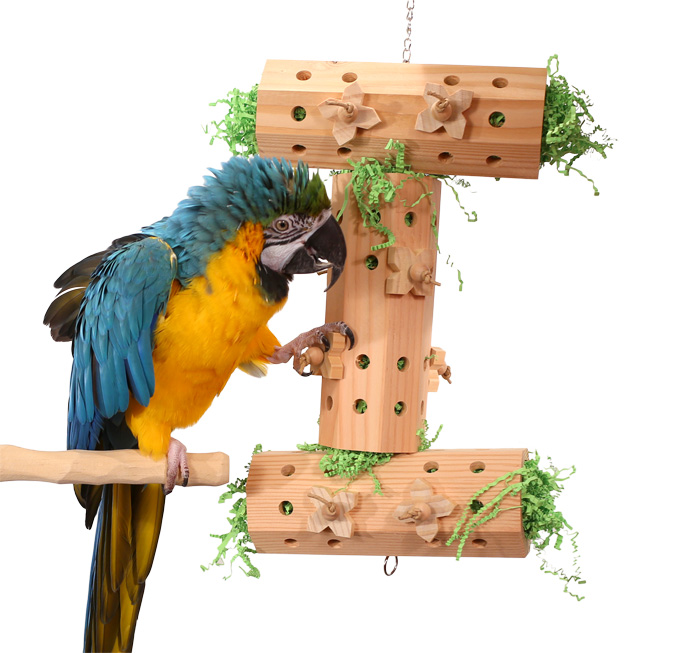 Blue and Gold Macaw with Activity Logs XL Parrot Foraging Toy