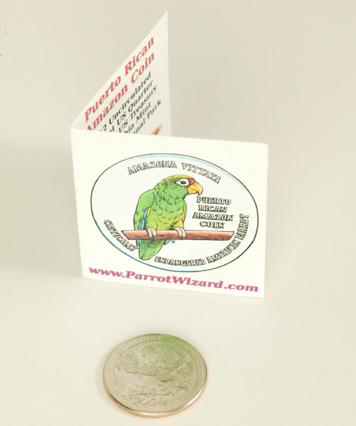 Puerto Rican Amazon Coin Box