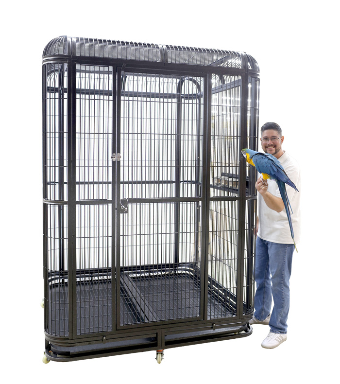 Deluxe Large Indoor Parrot Aviary 62x62 with Blue and Gold Macaw