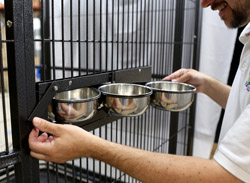 3 Swing Out Bowls on Deluxe Large Indoor Parrot Aviary