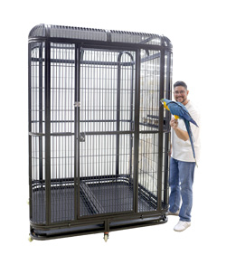 Deluxe Large Indoor Parrot Aviary 62x62 with Blue and Gold Macaw
