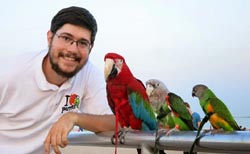 Parrots in harnesses