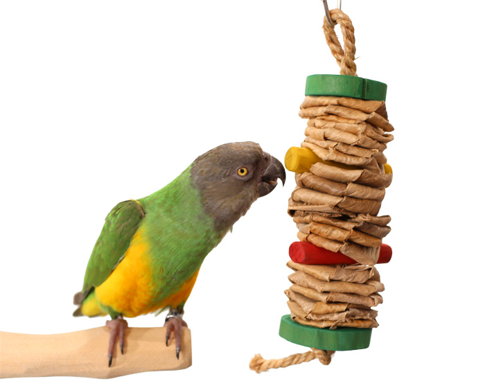 Seneagl Parrot with Banana Weave Small Parrot Toy