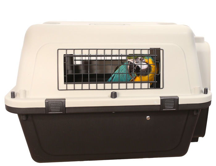 Side view of Blue and Gold Macaw inside Parrot Wizard Bird Carrier Large