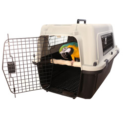 Blue and Gold Macaw inside Parrot Wizard Bird Carrier Large