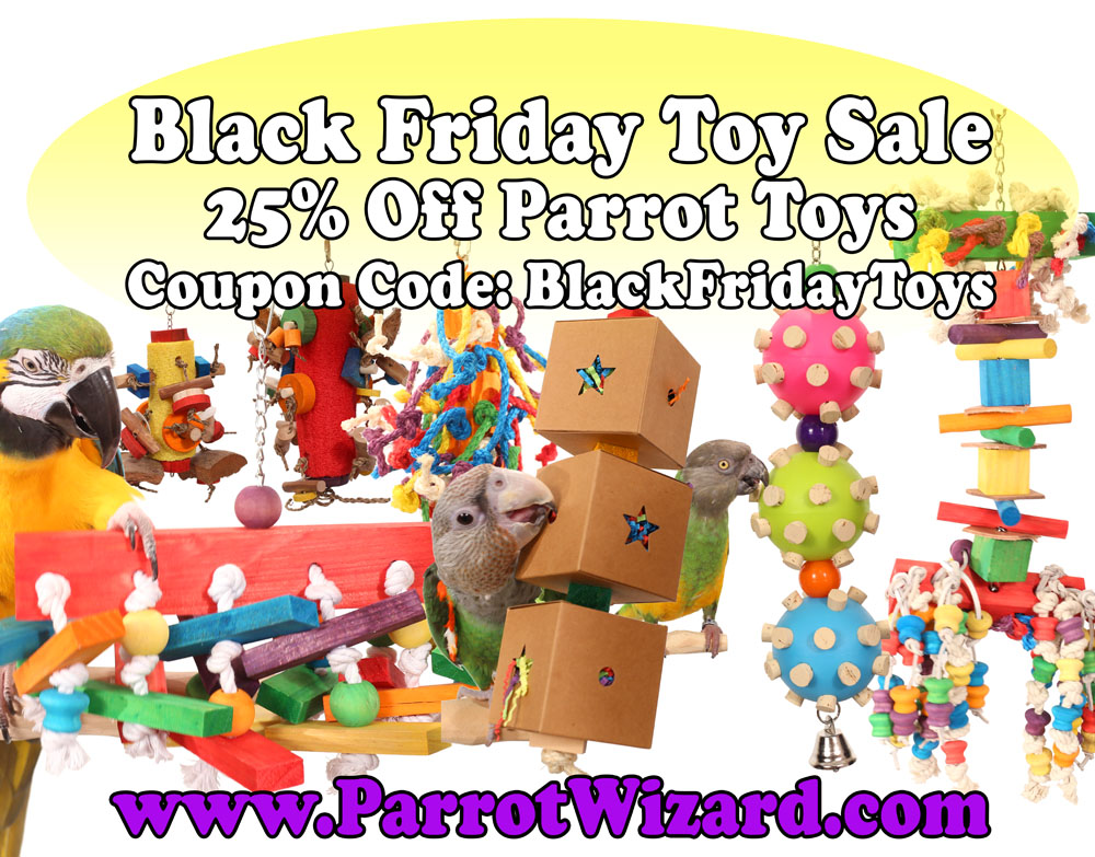 Parrot Wizard Black Friday Toys