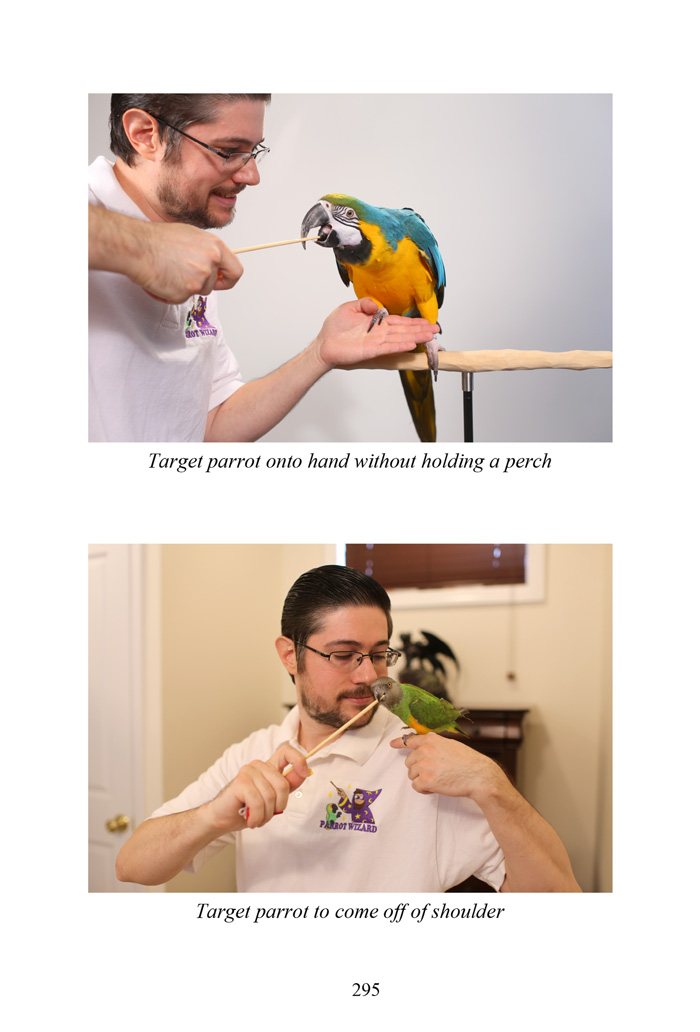 Sample photos from The Parrot Wizard's Guide to Well-Behaved Parrots 2nd Edition