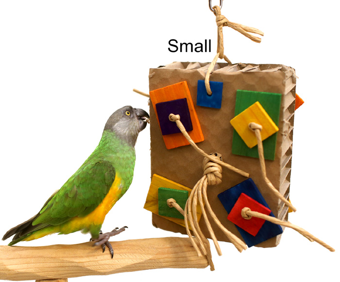 Small Cardboard Shreddy Toy