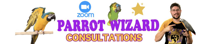 Parrot Wizard - Training Consultations