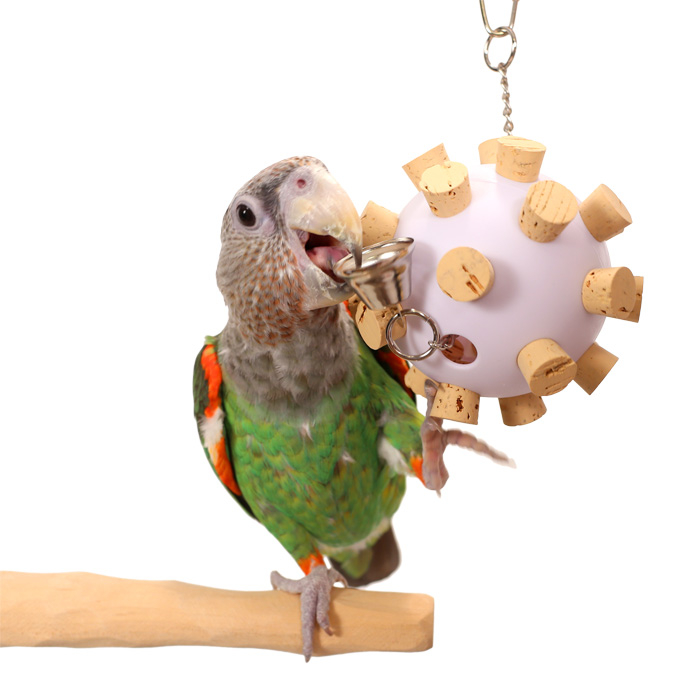 Cork Orb Medium Parrot Toy with Cape Parrot