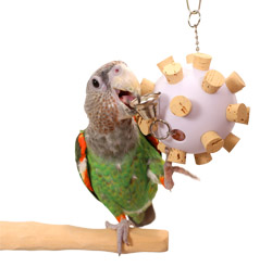 Cork Orb Medium Parrot Toy with Cape Parrot