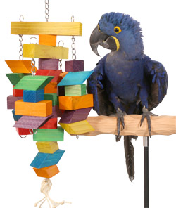 Hyacinth Macaw with Cubism Large Parrot Toy