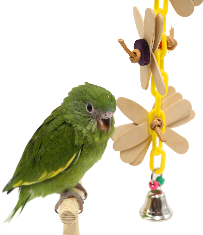 Bibi Parrot with Daisy Chain Small Popsicle Parrot Toy