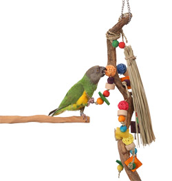 Parrot chew toys hotsell