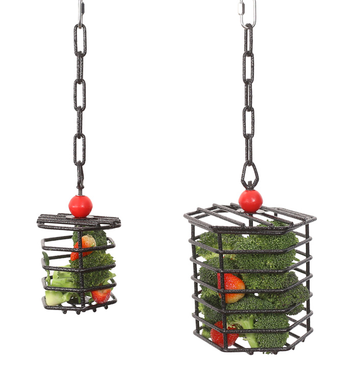 Foraging Cage Feeder Station for Parrots Available in Small and Large Sizes