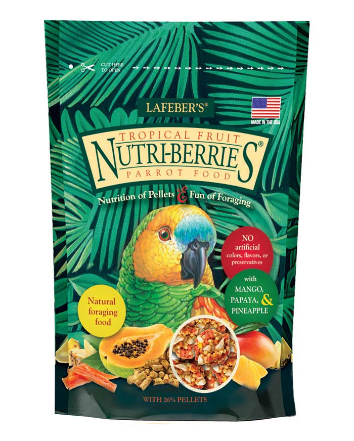 Tropical Fruit Parrot Nutriberries treats, foraging, food for Parrots