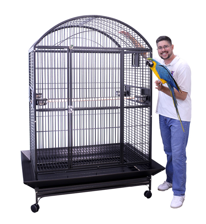 Large Cage for Large Parrots 48x36x76 Dometop with Blue and Gold Macaw