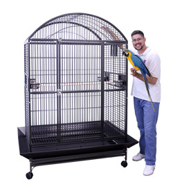 Large Cage for Large Parrots 48x36x76 Dometop with Blue and Gold Macaw