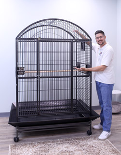 Deluxe Large Cage for Large Parrots Dometop Black 48x36x76 Scale