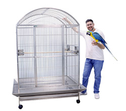 Deluxe Large Stainless Steel Cage for Large Parrots Dometop SS 48x36x76
