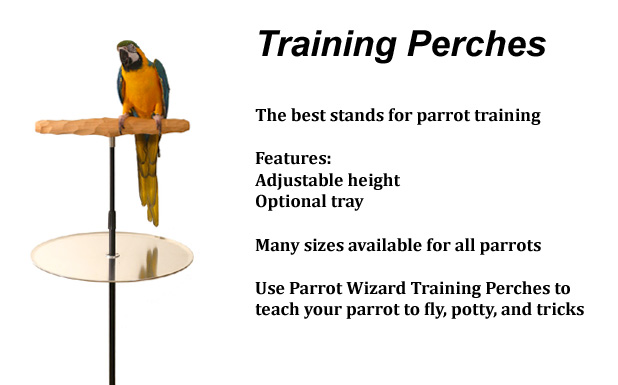 Parrot Wizard - Scale for Weighing Parrots for Trick Training
