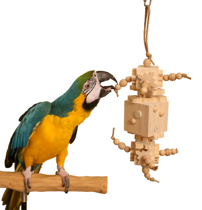 Woodland Parrot Maple Grove Parrot Toy with Blue and Gold Macaw