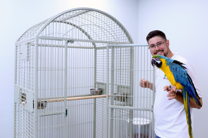 Deluxe Medium Cage for Large Parrots 40x30x77