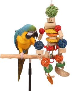 Bird toys outlet online