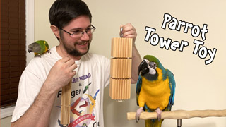 Parrot Tower Toy - Groovy Bird Toy