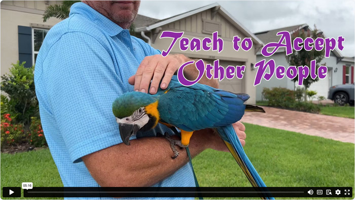 Teaching Parrot to Let Other People Touch