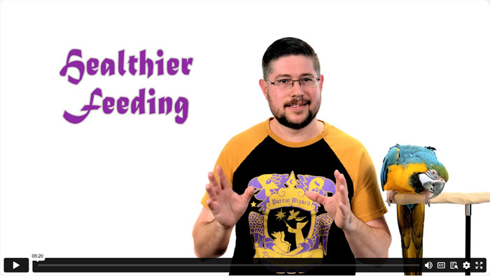 Healthier Feeding for Parrots
