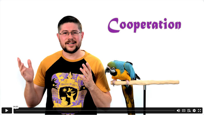 How to Improve Parrot Cooperation