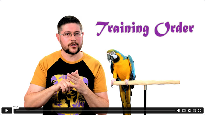 Order of Parrot Training
