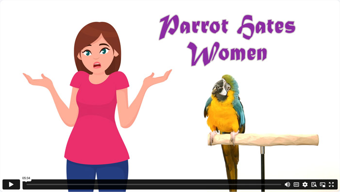 Parrot Hates Women