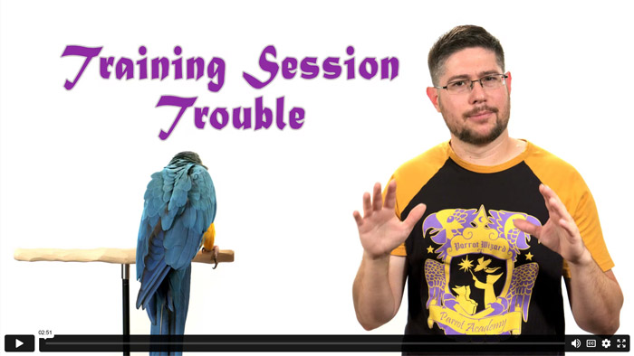 Handling Training Session Troubles