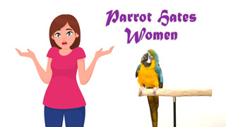 Parrot Hates Women