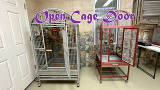 Open Cage Door Policy