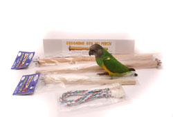 Small Cage Perch Bundle from Parrot Wizard with Senegal Parrot