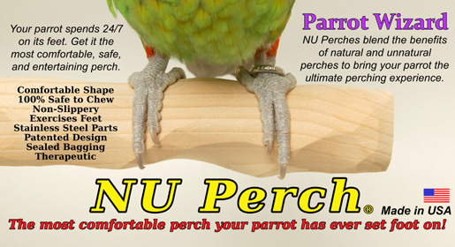 Perches for Parrots - Parrot Wizard NU Perch