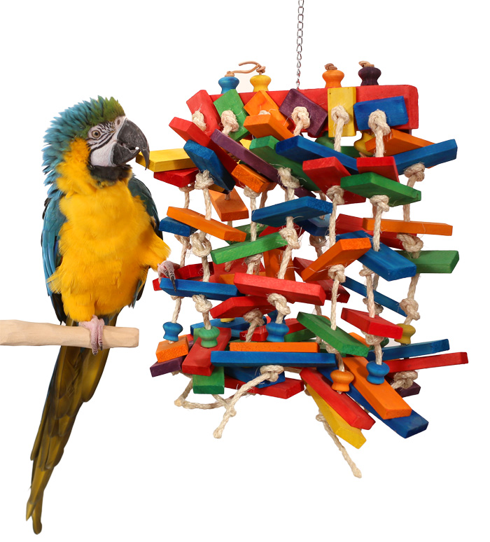 Blue and Gold Macaw playing with Rainbow Parade Large Parrot Toy