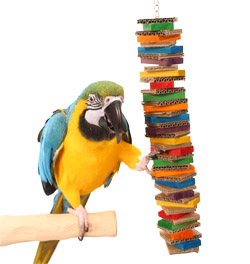 Rainbow Shredder Large Parrot Toy with Blue and Gold Macaw