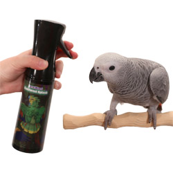 Congo African Grey Parrot with Rainforest Splash Spray Mister Bottle
