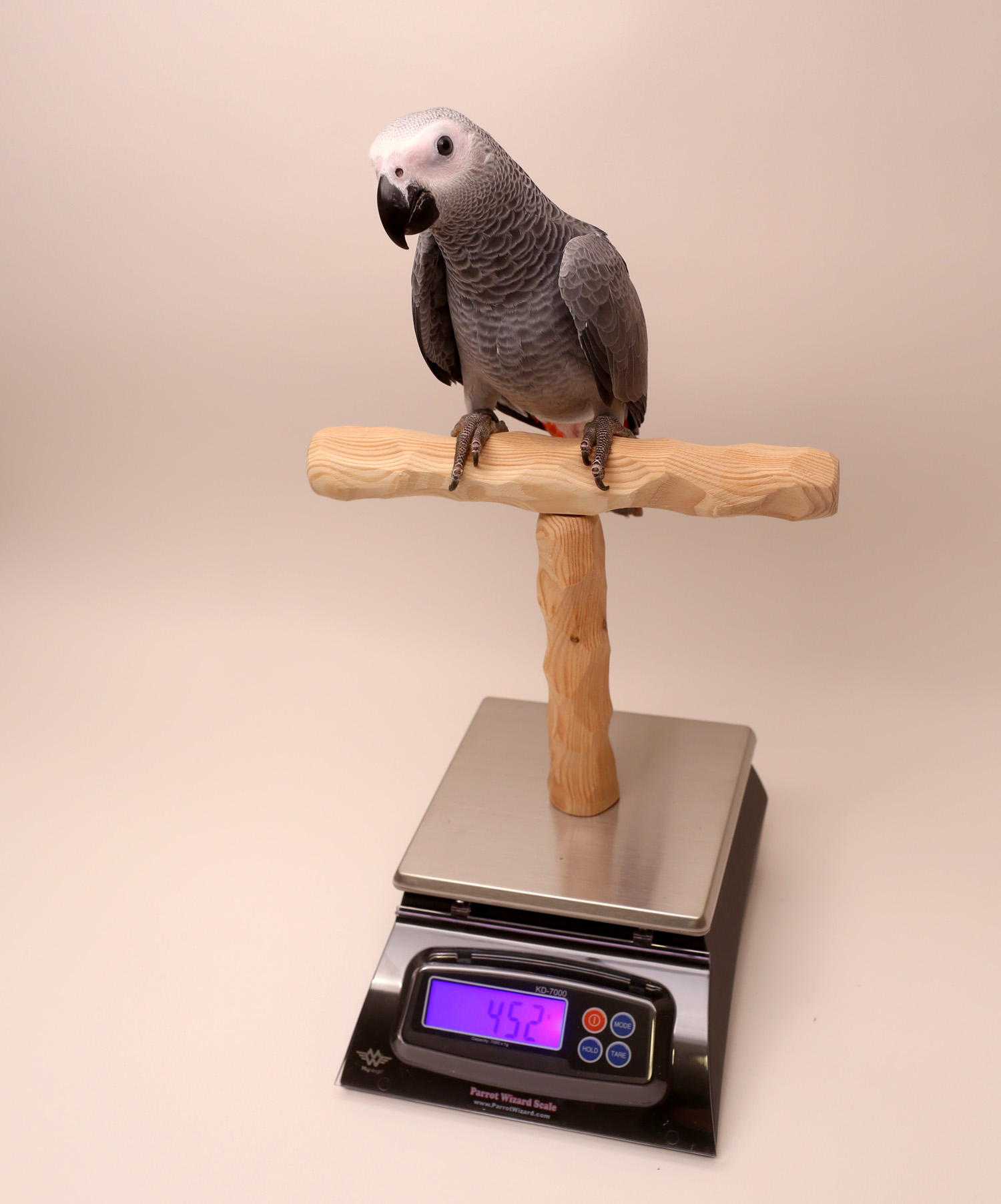 Digital Bird Scale with Perch, Bird Scale Grams, Max 44lbs, Capacity with