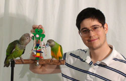 Parrots with Shamrock Jr Toy