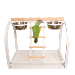 Senegal Parrot Climbing Ladder of Tabletop NU Perch Small Parrot Playstand White